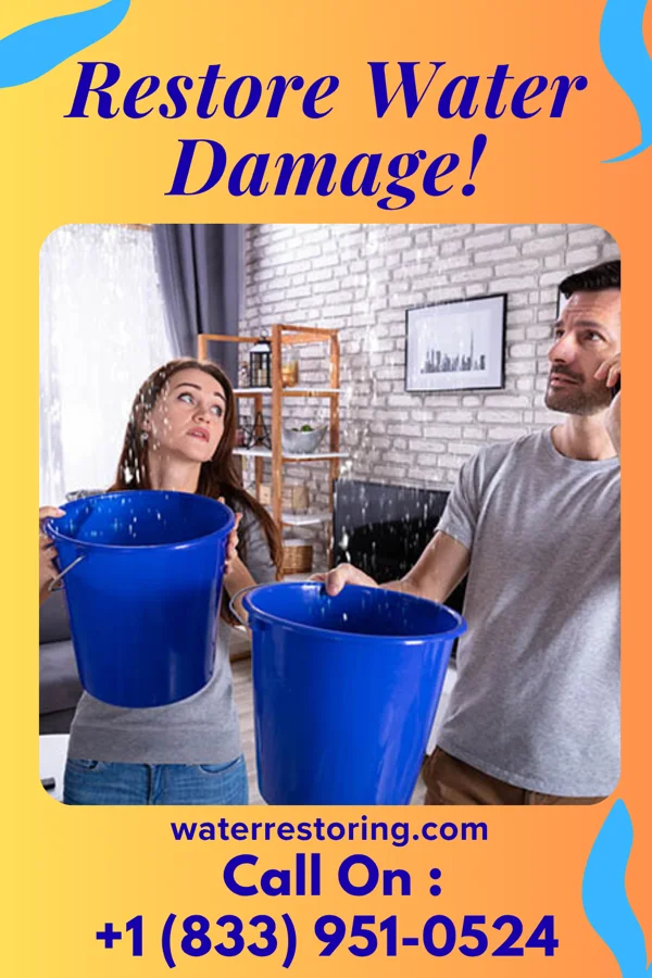 water restoration Patriot Damage Recovery Nelagoney
