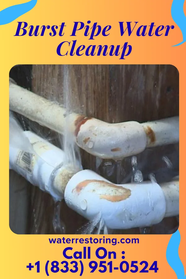Burst Pipe Water Cleanup in Nelagoney, OK
