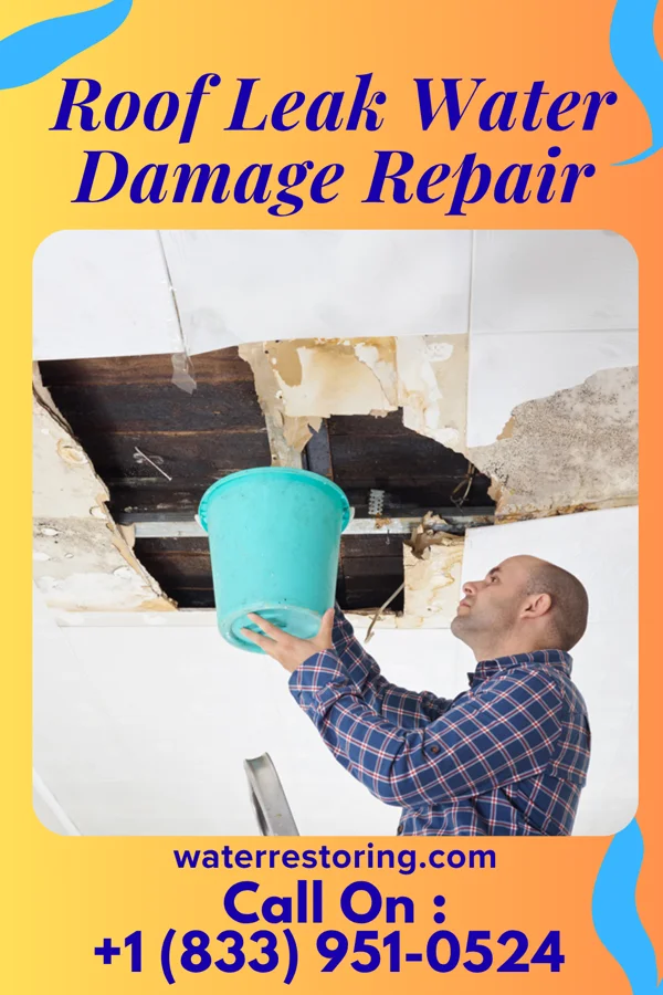 Roof Leak Water Damage Repair in Nelagoney, OK