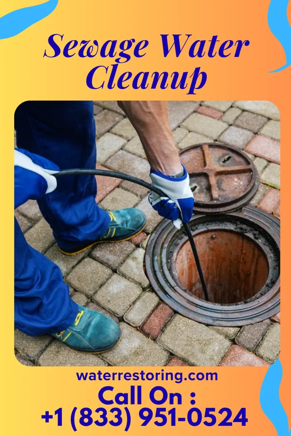 Sewage Water Cleanup in Nelagoney, OK